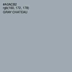 #A0ACB2 - Gray Chateau Color Image